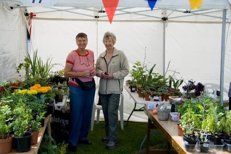 ../Images/20110709 113912 The plant stall.jpg